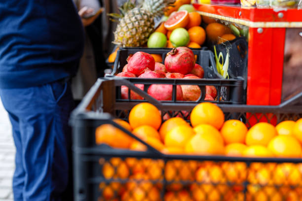 فروش عمده میوه و صیفی‌جات تازه | دسترسی به بهترین قیمت‌ها در فروش‌یاب - آگهی عمده فروشی