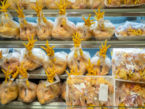 مواد پروتئینی: خرید عمده گوشت، مرغ، ماهی و سوسیس کالباس | فروش‌یاب - خرید عمده مرغ