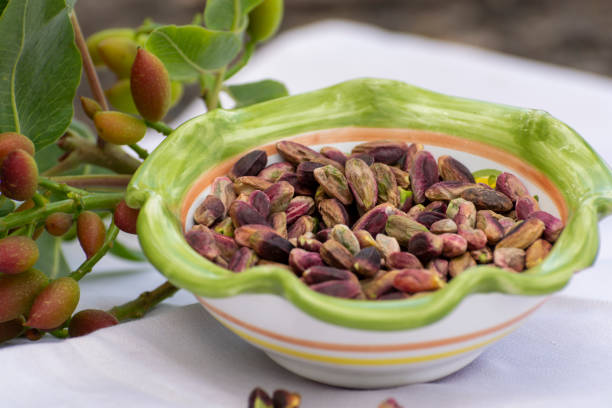 فروش عمده پسته اکبری اعلا رفسنجان | ثبت آگهی، خرید عمده، آگهی عمده فروشی