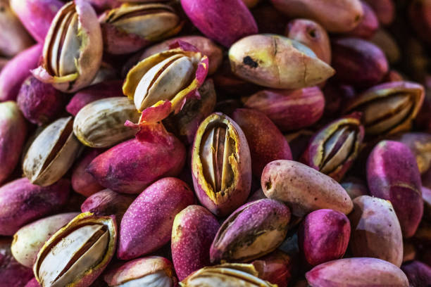 فروش عمده پسته اکبری اعلا | قیمت درب کارخانه در فروش‌یاب | خرید و فروش عمده