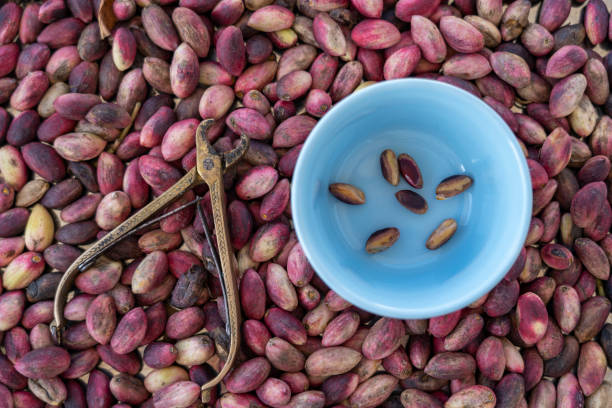 پسته کله‌قوچی اعلا، تازه و با کیفیت تضمینی، مستقیم از باغات رفسنجان فروش یاب، خرید و فروش عمده، آگهی تجاری