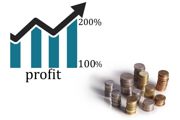 افزایش سودآوری کسب و کار قطعات یدکی در شیراز با راهکارهای دیجیتال پینوسایت