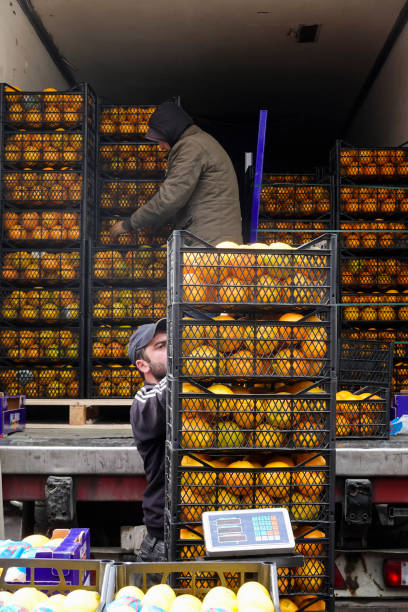 فروش میوه و صیفی‌جات تازه | آگهی تخصصی برای خریداران عمده در فروش‌یاب - چشم انداز بازار تره‌بار عمده و فرصت‌های تجاری در فروش یاب