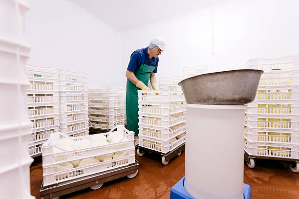 فروش عمده لبنیات تازه | قیمت رقابتی در فروش‌یاب، خرید و فروش عمده