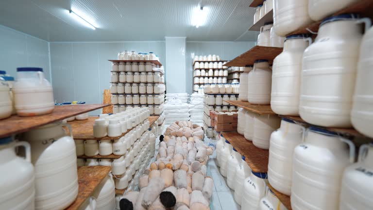 خرید عمده مواد پروتئینی و لبنیات تازه از تولیدکنندگان برتر در فروش‌یاب | فروش یاب، خرید مستقیم از فروشنده، آگهی عمده فروشی