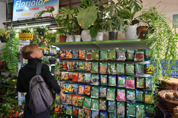 کشاورزی در فروشیاب: خرید و فروش بذر و نهال، آگهی رایگان کشاورزی