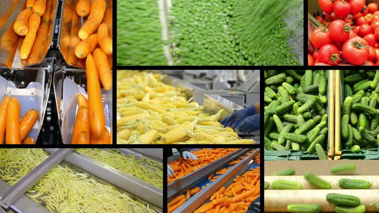 کشاورزی: خرید و فروش عمده محصولات باغی و زراعی - خرید مستقیم از فروشنده، آگهی خرده فروشی، فروش یاب