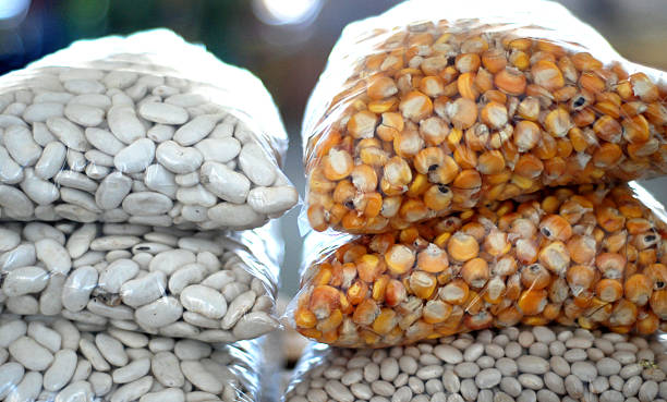 بذر و نهال کشاورزی عمده: خرید و فروش عمده بذر و نهال در فروش یاب