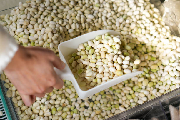 خرید عمده حبوبات از تولیدکننده در فروش یاب | آگهی تجاری