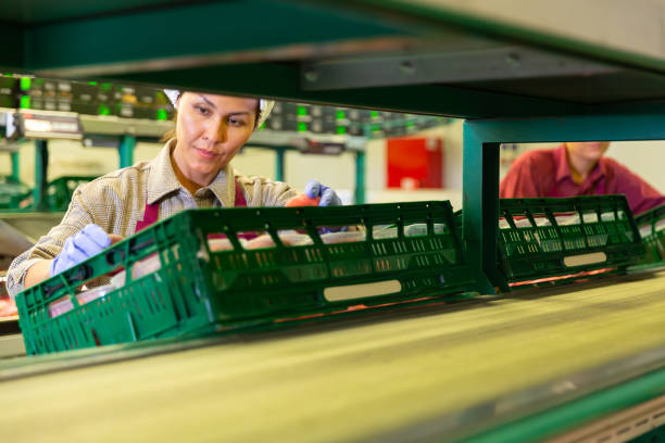 فروش عمده محصولات کشاورزی | فروش یاب، ثبت آگهی، خرید عمده، آگهی تجاری