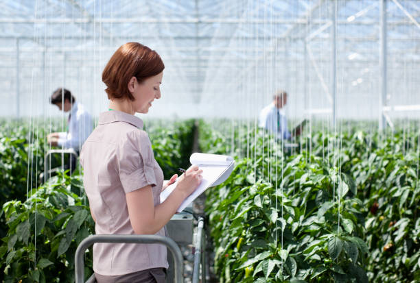 فروش‌یاب: بهترین بستر برای خرید و فروش عمده محصولات کشاورزی - فروش یاب ثبت آگهی عمده