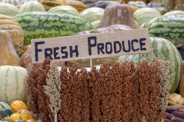 فروش عمده محصولات کشاورزی و مواد غذایی در فروش یاب، خرید مستقیم و آگهی تجاری