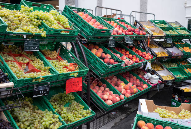 مقایسه خرید میوه از باغدار در فروش یاب با روش‌های سنتی برای فروش عمده میوه فصلی، خرید و فروش عمده