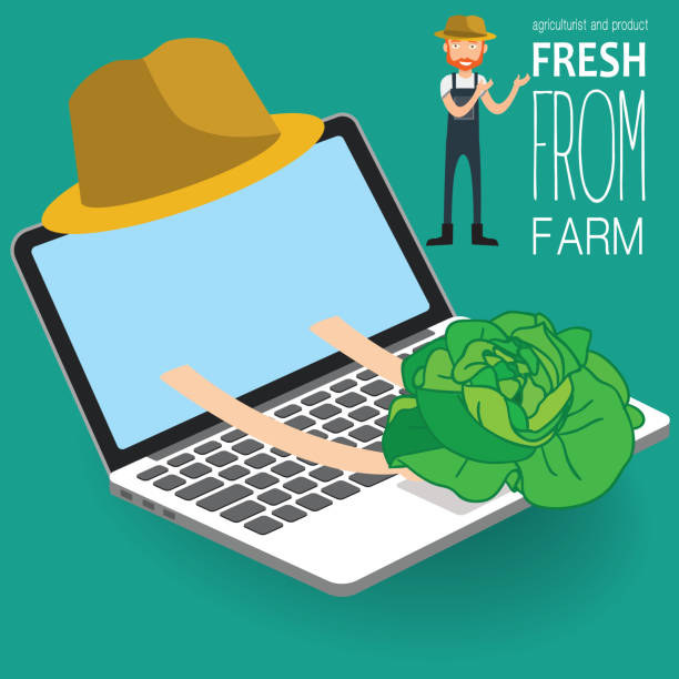 فروش یاب: خرید مستقیم از فروشنده، بازار عمده فروشان محصولات کشاورزی