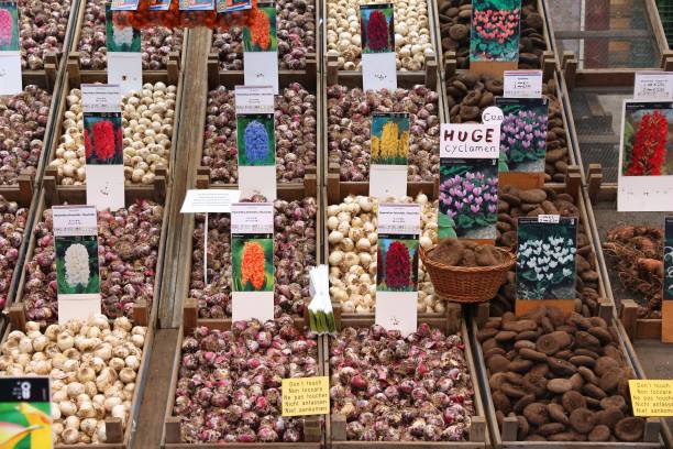 فروش یاب: پلتفرم کشاورزی آنلاین برای خرید و فروش عمده بذر و نهال