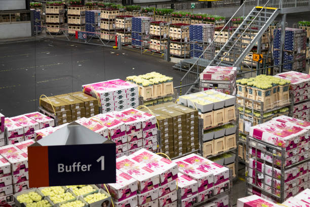 فرآورده‌های غذایی عمده: بهترین قیمت خرید و فروش مواد غذایی در فروش‌یاب – خرید و فروش عمده