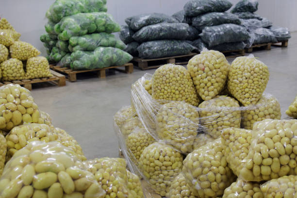 بازار عمده فروشی محصولات کشاورزی | فروش یاب، خرید و فروش عمده، آگهی تجاری