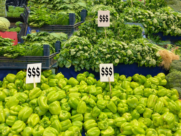 خرید عمده محصولات کشاورزی با قیمت رقابتی | فروش یاب، خرید و فروش عمده، آگهی تجاری