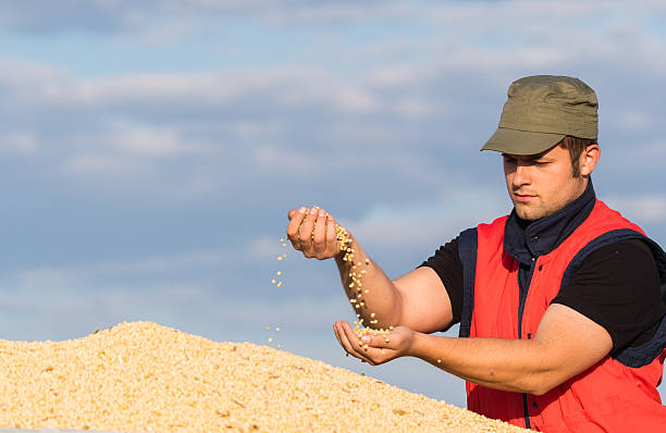 تولیدکنندگان خشکبار در فروش یاب | خرید مستقیم از فروشنده