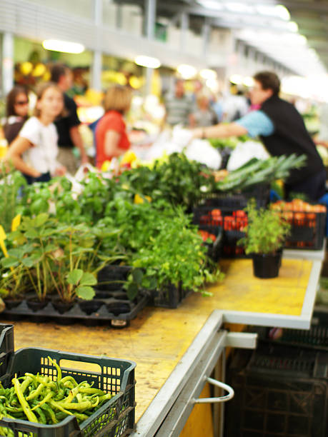 خرید مستقیم از تولیدکننده در فروش یاب | فروش عمده محصولات کشاورزی | آگهی تجاری