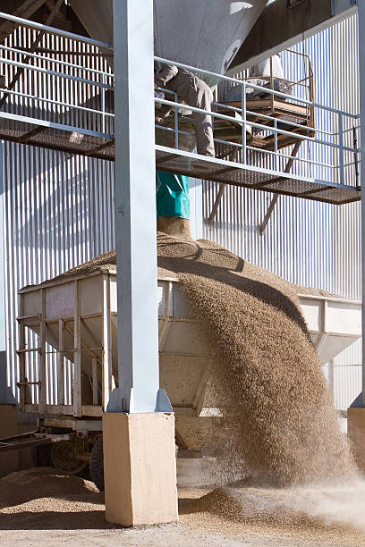 خرید عمده پسته، فروش عمده، فروش یاب