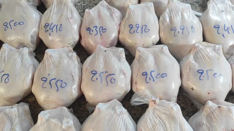 جستجو و مقایسه قیمت عمده مواد پروتئینی؛ فروش یاب، خرید مستقیم از فروشنده، آگهی خرده فروشی