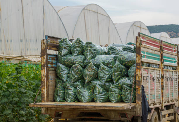 قیمت عمده کشاورزی | فروش یاب | خرید مستقیم از فروشنده | آگهی تجاری