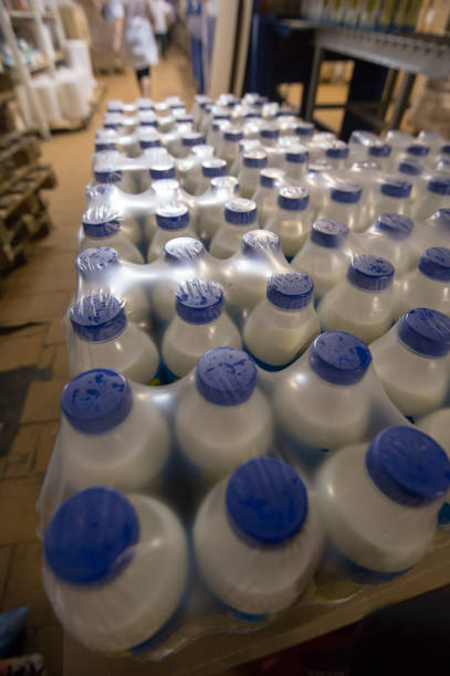 لبنیات عمده با ارسال سراسری، انبار نگهداری محصولات لبنی | خرید و فروش عمده