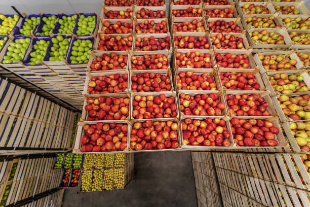 خرید عمده خشکبار و میوه تازه | بهترین قیمت رقابتی در فروش‌یاب - فروش یاب، تامین کننده عمده میوه، خرید عمده