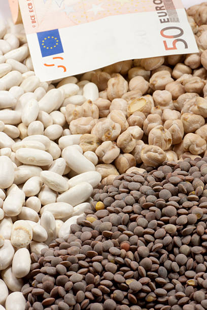 سرمایه گذاری و سودآوری در بازار عمده حبوبات از طریق فروش یاب - قیمت رقابتی