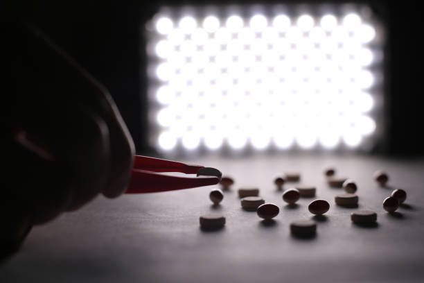 خرید حبوبات عمده از تولیدکننده در فروش یاب - فروش یاب، خرید مستقیم از فروشنده، آگهی تجاری