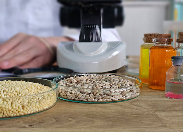 فروش یاب: خرید عمده مواد غذایی، بازار عمده حبوبات، آگهی تجاری