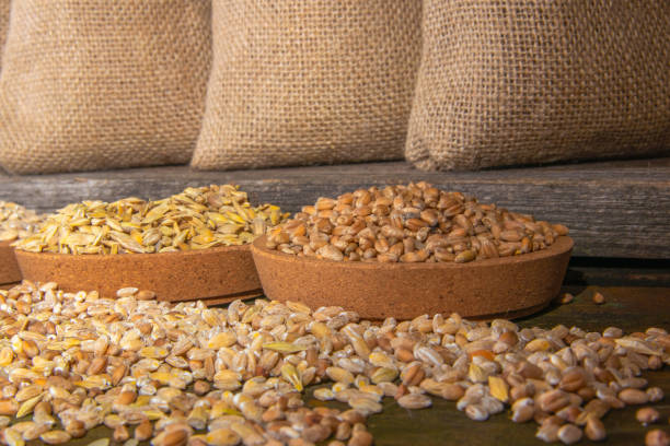 غلات و حبوبات عمده در فروش یاب، کیفیت و قیمت رقابتی برای خرید و فروش عمده و آگهی تجاری