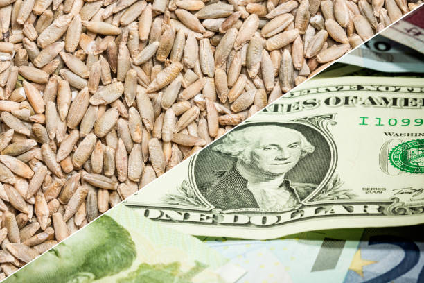 مقایسه قیمت خشکبار در فروش یاب: پس‌زمینه قیمت جو، بحران غذا و افزایش هزینه غذا، نمادی از مقایسه قیمت و قیمت عمده خشکبار