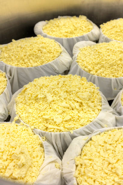 پنیر تازه عمده با قیمت همکاری در فروش یاب | نیازمندی‌های تجاری لبنیات