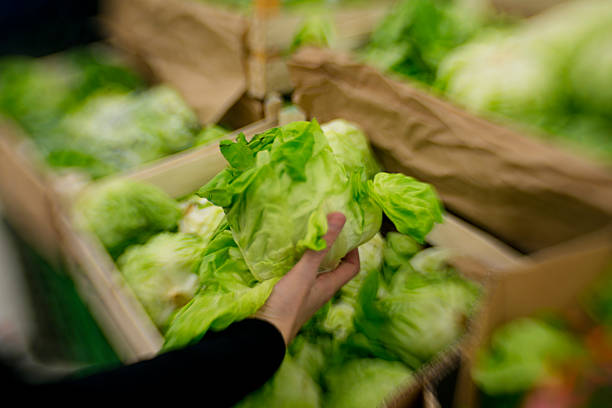 تأمین میوه تازه عمده و پخش عمده سبزیجات با کیفیت در فروش‌یاب