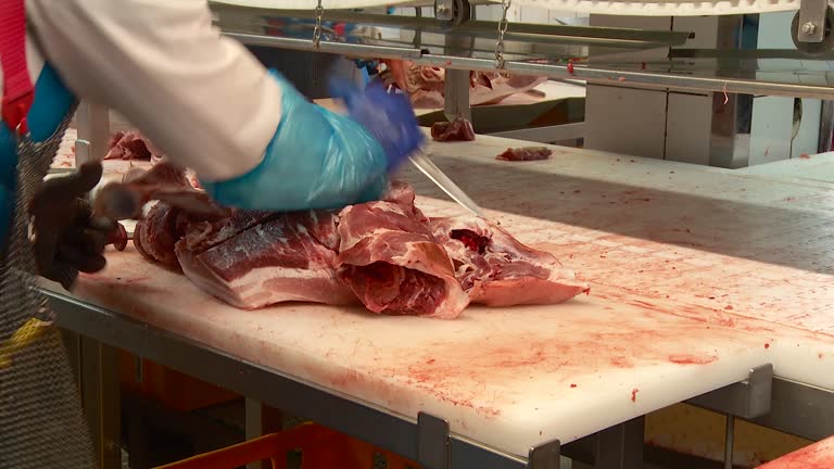 گوشت کشتار روز | خرید مستقیم از فروشنده در فروش یاب