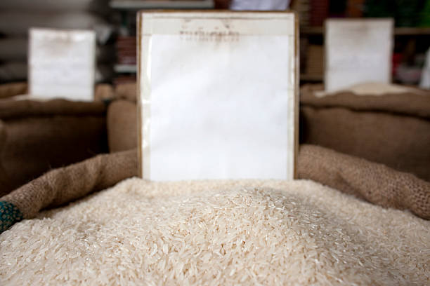 فروش عمده و مستقیم برنج ایرانی درجه یک در بازار؛ فرصت خرید بدون واسطه در فروش یاب