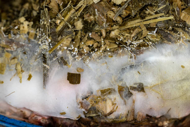 تامین کنندگان پروتئین دامی و مواد اولیه دامپروری در فروش‌یاب - نیازمندی‌های تجاری