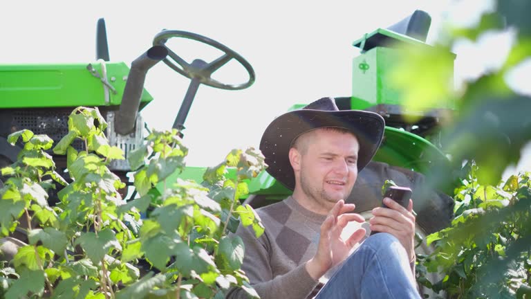 ثبت آگهی کشاورزی: افزایش فروش عمده محصولات کشاورزی و ارتباط مستقیم با خریداران در فروش یاب