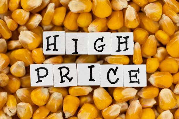 غلات و حبوبات عمده: بهترین قیمت بازار برای خرید و فروش در فروش یاب، تامین غلات عمده، قیمت رقابتی