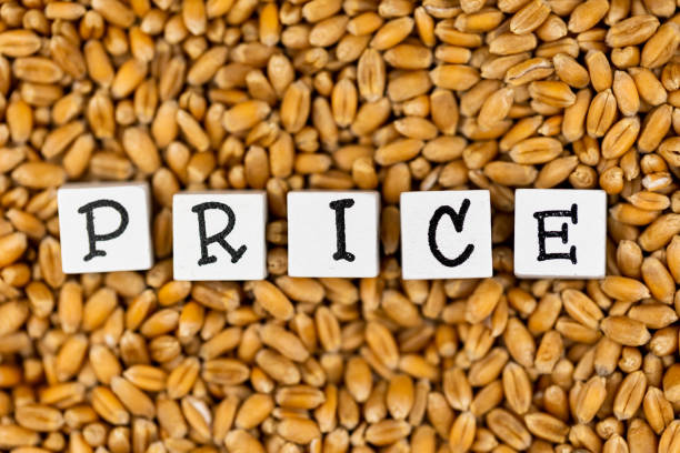 قیمت عمده خشکبار در فروش یاب: کلمه قیمت روی پس‌زمینه گندم فله، نمادی از قیمت رقابتی و خرید و فروش عمده
