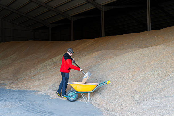 فروش عمده و مستقیم انواع خشکبار با بهترین کیفیت در فروش‌یاب | خرید و فروش عمده آگهی تجاری