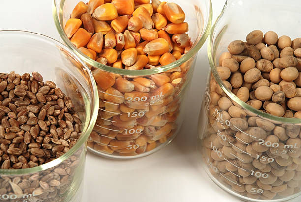 فروش عمده خشکبار | ثبت آگهی، فروش یاب، سود بالا خشکبار