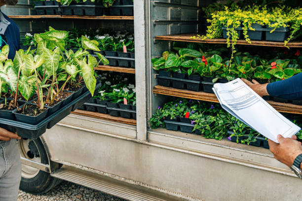 خرید و فروش عمده، فروش یاب، آگهی تجاری، نهال عمده